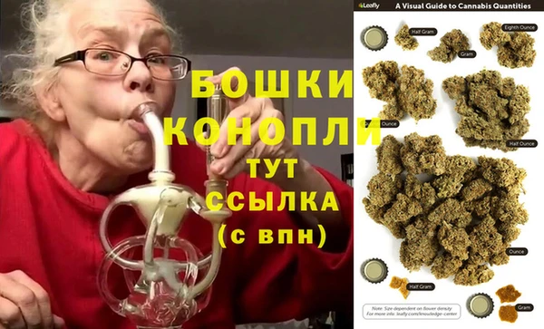 ГАЛЛЮЦИНОГЕННЫЕ ГРИБЫ Алексин
