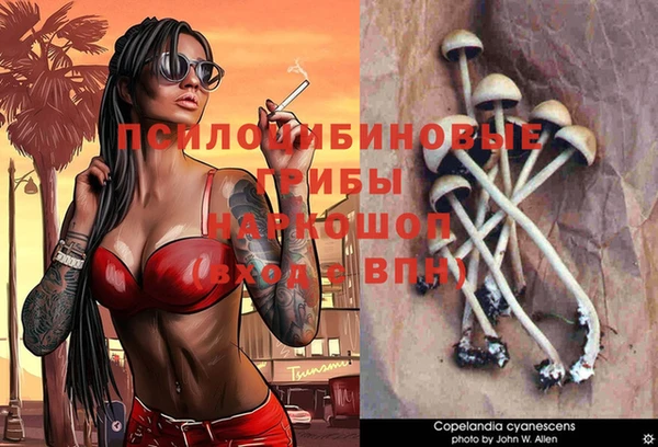 ГАЛЛЮЦИНОГЕННЫЕ ГРИБЫ Алексин